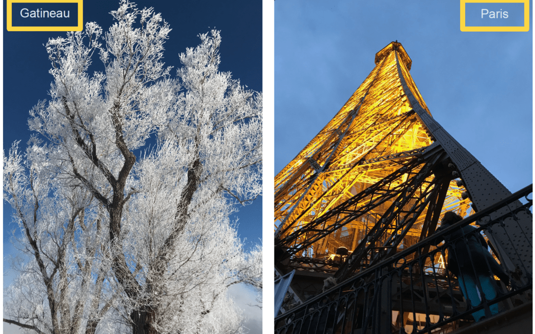 Des nouvelles adresses, des nouvelles aventures…